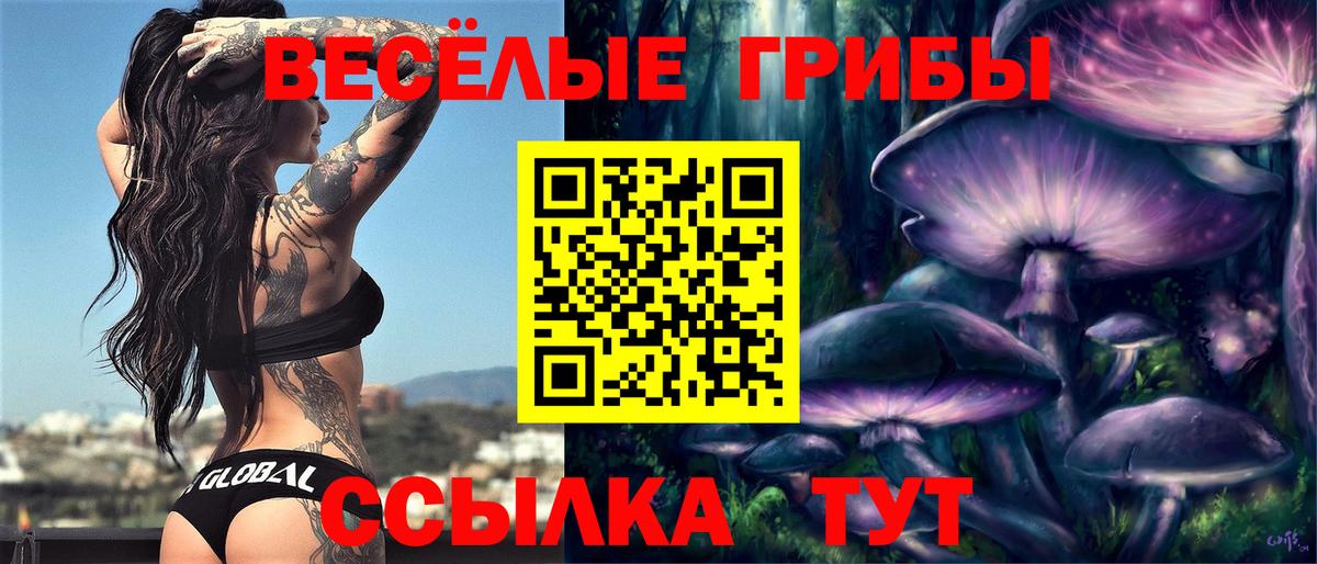 Галлюциногенные грибы ЛСД  Вход с VPN  Краснознаменск  Галлюциногенные грибы MAGIC MUSHROOMS 