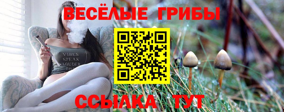 Псилоцибиновые грибы Psilocybe  Краснознаменск 